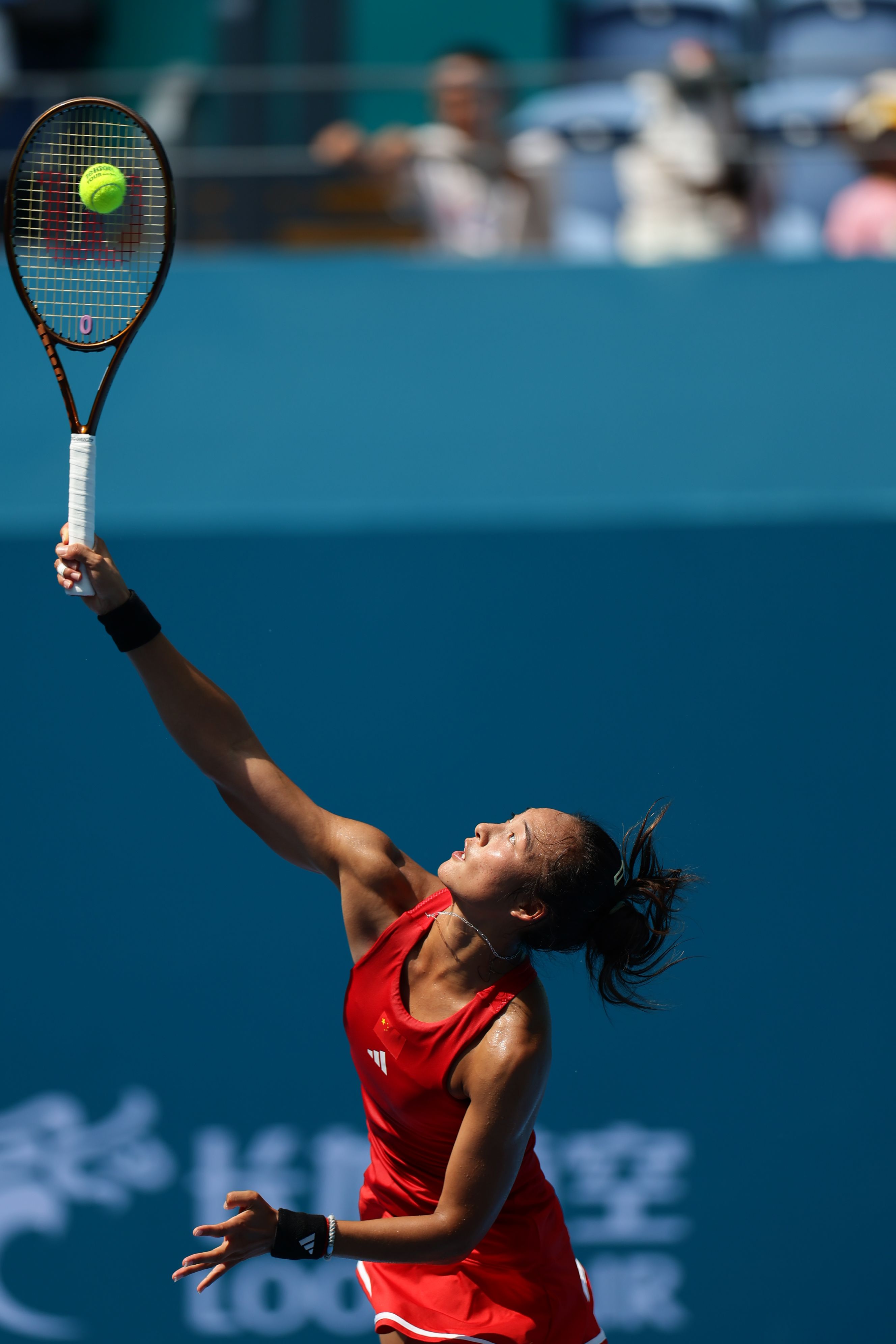 这不仅是对 这不仅是对