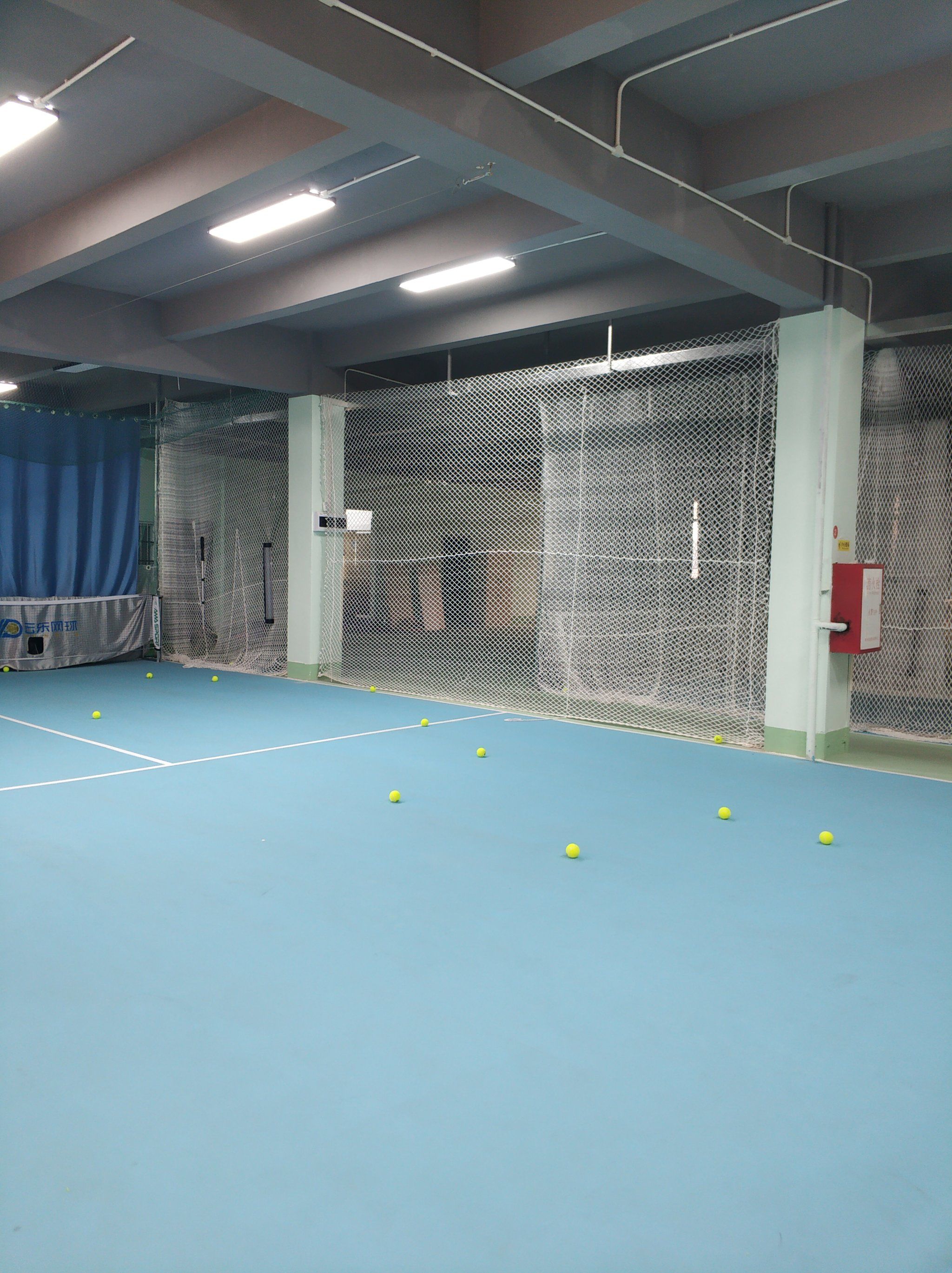 其职业生涯 其职业生涯